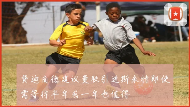 费迪南德建议曼联引进斯米特即使需等待半年或一年也值得