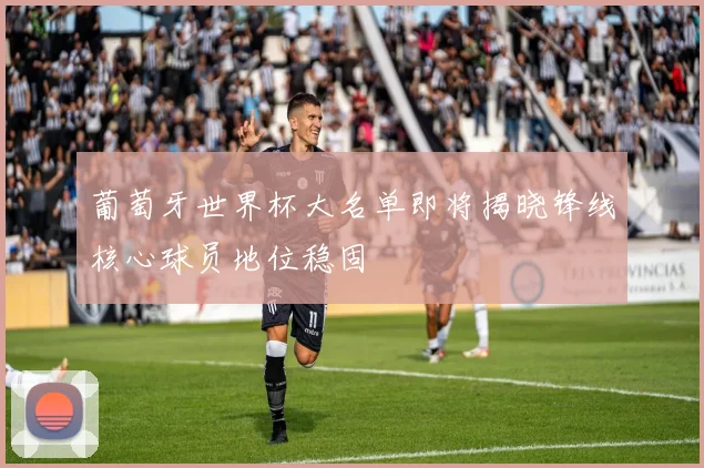 葡萄牙世界杯大名单即将揭晓锋线核心球员地位稳固