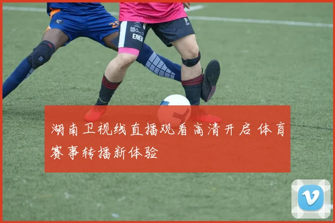 湖南卫视线直播观看高清开启 体育赛事转播新体验